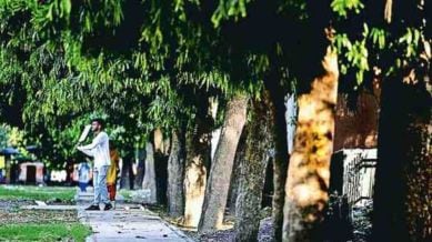 delhi