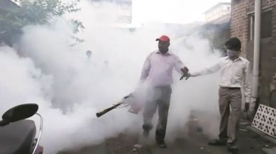 chikungunya