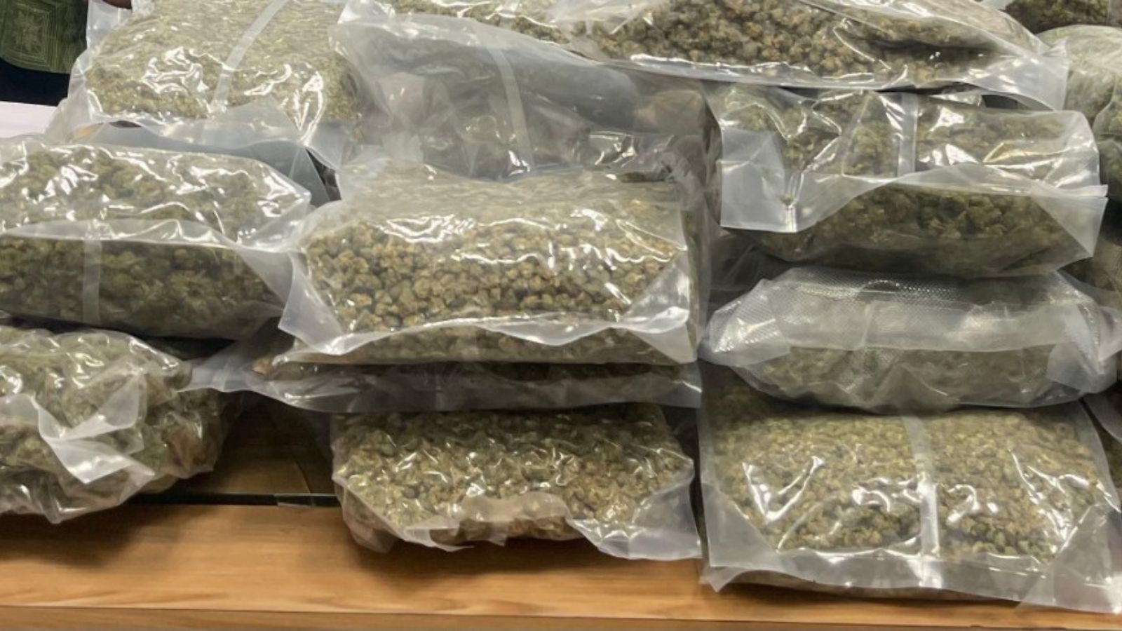 Pune Customs Seizes Rs 13 Crore Hydro Weed, Arrests Mules and Handler