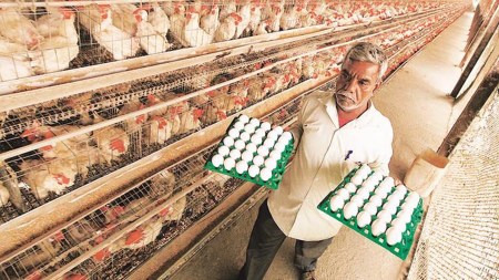 Navratri: Sale of eggs, meat, fish banned in MP’s Maihar, Umaria