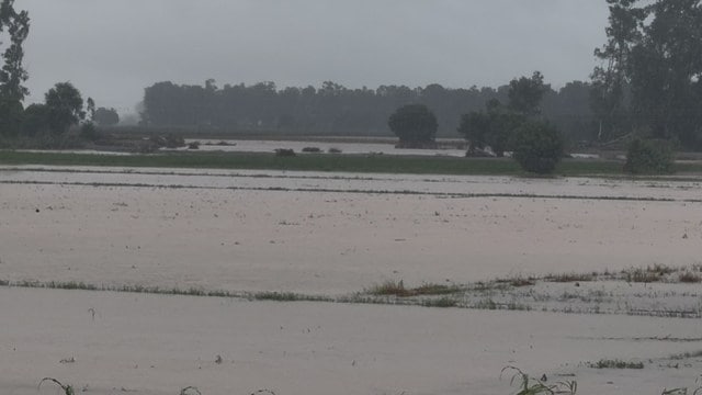 Ravi washes away 30 km of Indo-Pak border fence