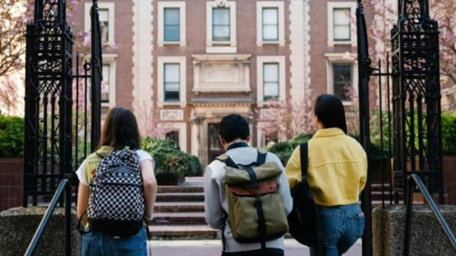 harvard university