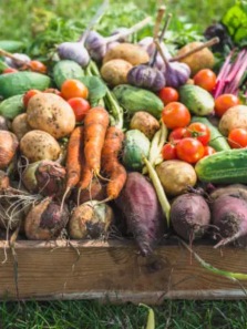 Benefits of eating seasonally