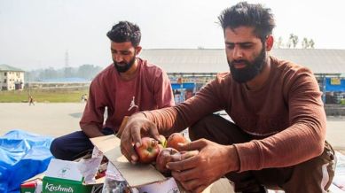 Anantnag: Fruit growers inspect damaged apples lying in cartons at the fruit market, which remains shut as protests over the 12-day highway closure disrupt transport, causing huge losses to Kashmir’s fruit economy, at Jablipora, Anantnag district, Jammu and Kashmir, Monday, Sept. 15, 2025. (PTI Photo)(PTI09_15_2025_000079B)