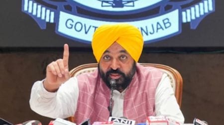 Punjab bhagwant mann