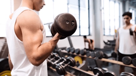 muscles