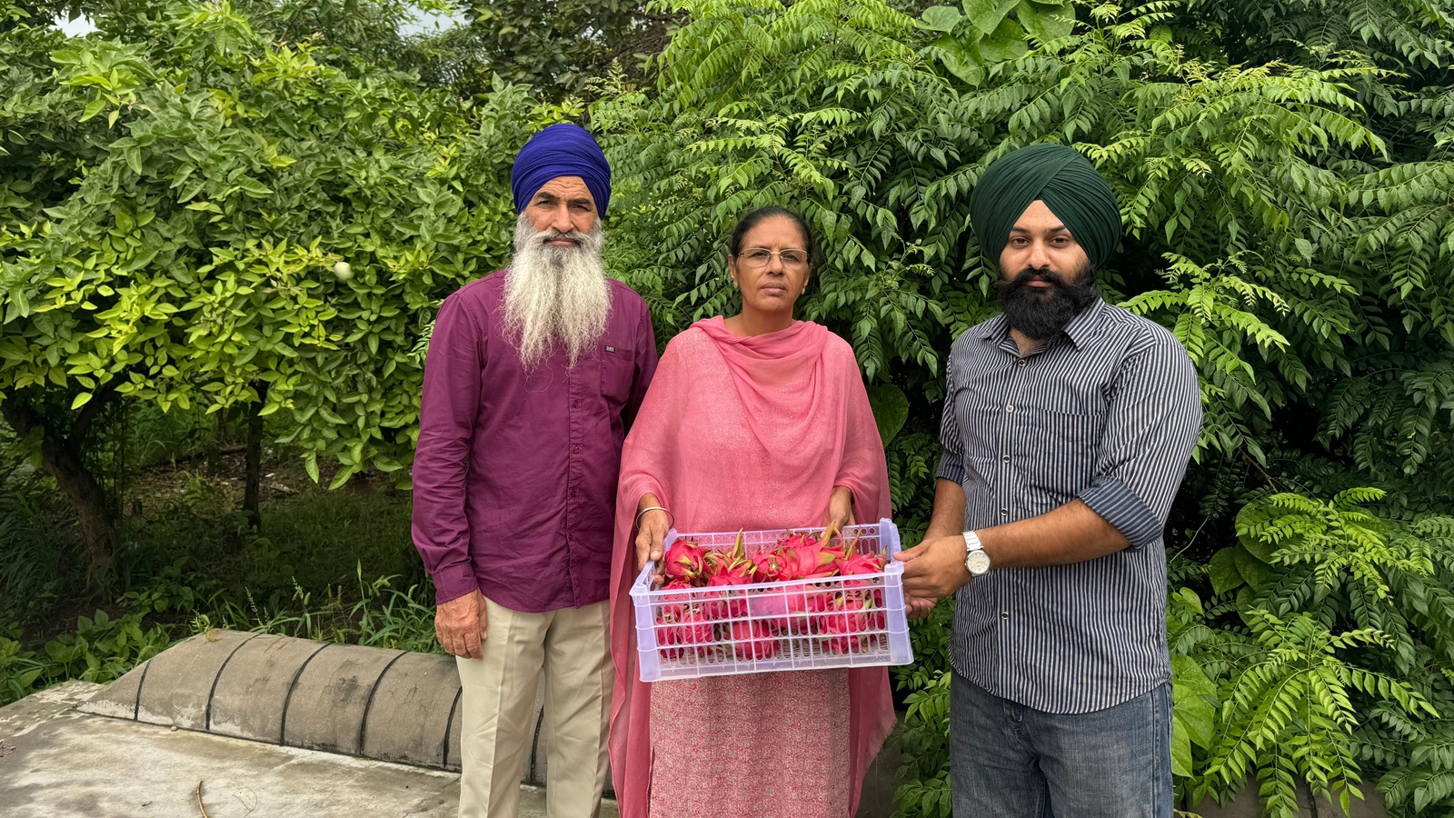 Pakhowal Woman Pioneers Natural Farming, Transforms Community