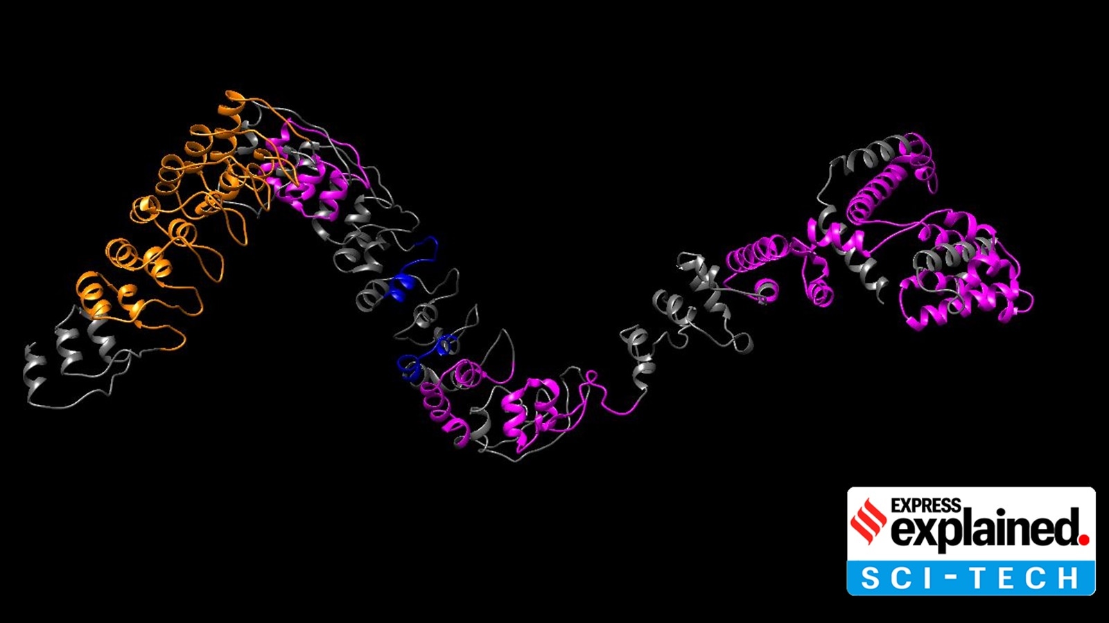 Typically, proteins are made of a combination of 20 different kinds of amino acids, and the structure and function of each protein are governed by the arrangement of the various amino acids in it.
