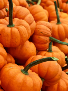 The many benefits of including pumpkin in your daily diet