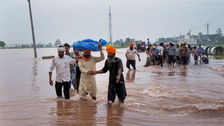 punjab, punjab floods, crop losses,