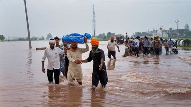 punjab, punjab floods, crop losses,