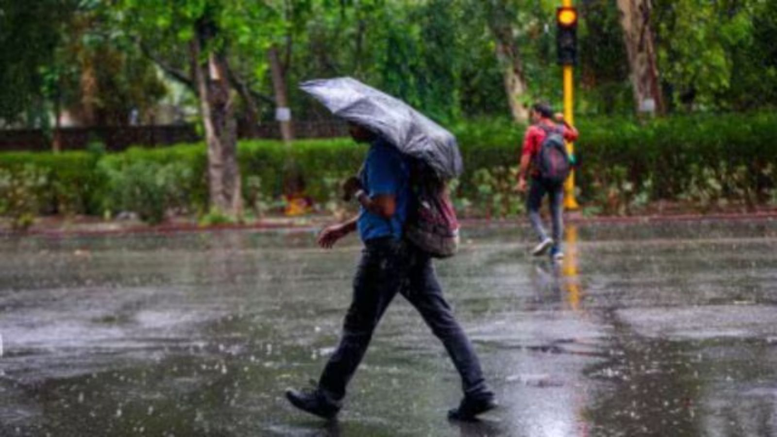 IMD Forecasts Light to Moderate Rain for Gujarat