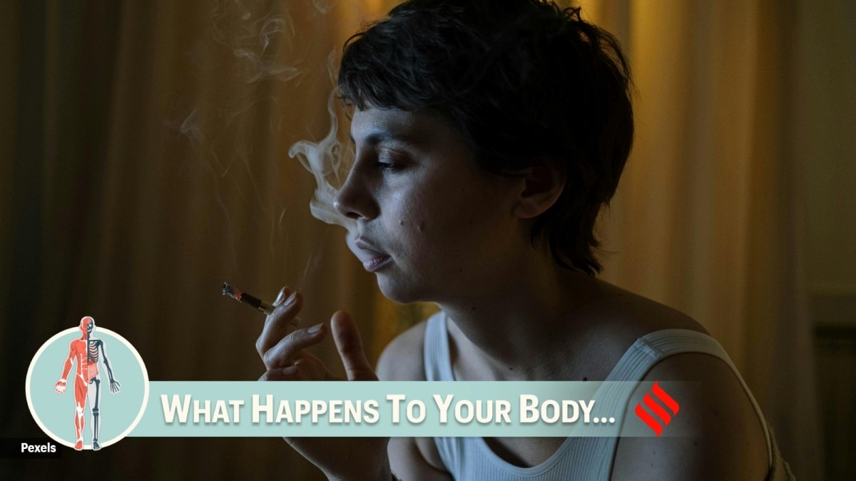 can cigarettes make you sleepy Why does a sleep-deprived body crave more smoke?