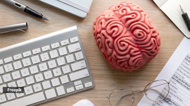 brain health