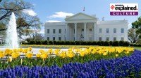 White House, classical architecture