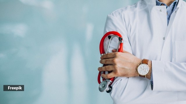 seeds for gut health