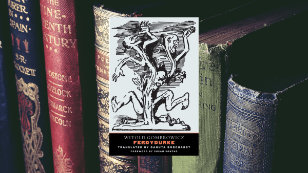 Book cover of Ferdydurke by Witold Gombrowicz