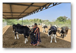 Abbott’s ‘Project Ksheersagar:’ Empowering Indian Dairy Farmers and Supporting the Local Milk Supply