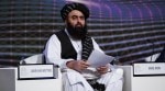 Afghan foreign minister Amir Khan Muttaqi