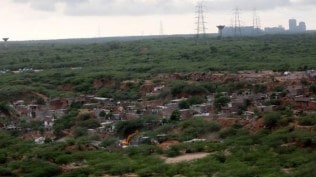 Supreme Court, Haryana defends planned Aravalli safari park, Aravalli safari park, haryana government, delhi news, India news, Indian express, current affairs