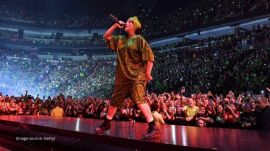Billie Eilish pulled into crowd during Miami concert