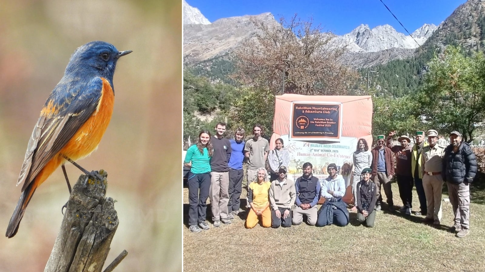 International Bird Watching programme held at Rakchham-Chitkul wildlife sanctuary; 35 species spotted