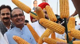 shivraj singh chouhan