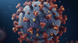 Covid Nimbus Stratus variants