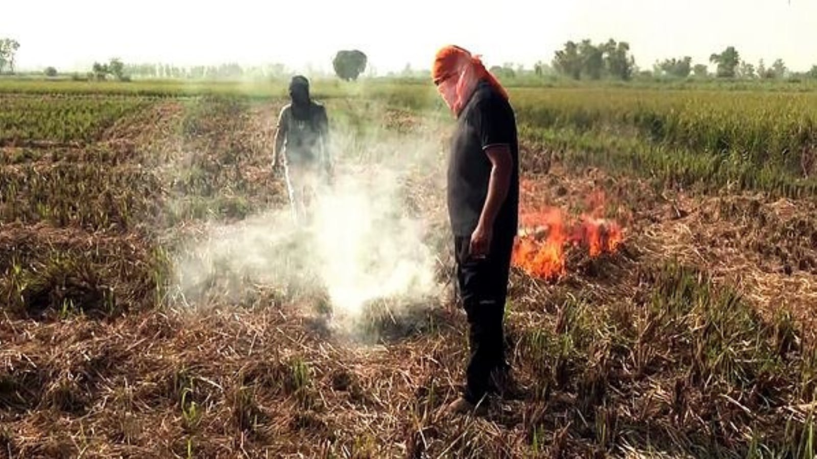 Cloud seeding can’t happen without clouds: Minister Sirsa amid jibes from AAP over Delhi pollution