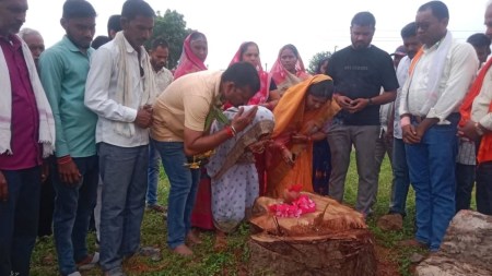 Moved by weeping woman, village brings her saplings for Peepal loss