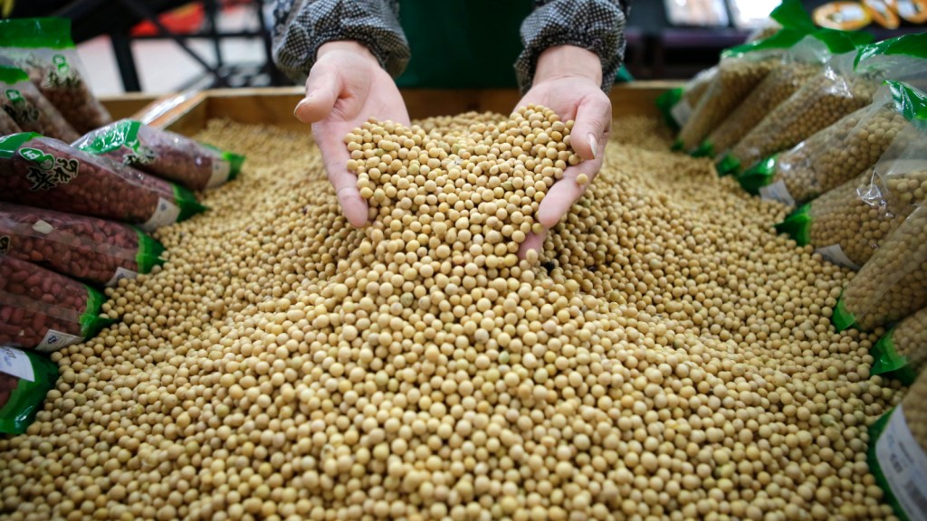 China agreed to purchase 25 million metric tons soybeans annually, says ...