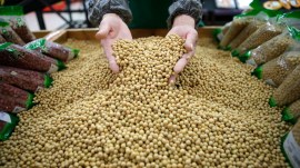 China agreed to purchase 25 million metric tons soybeans annually, says US