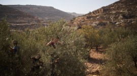 ‘Annexation not going to happen’: Marco Rubio says after Trump said ‘don’t worry about West Bank’