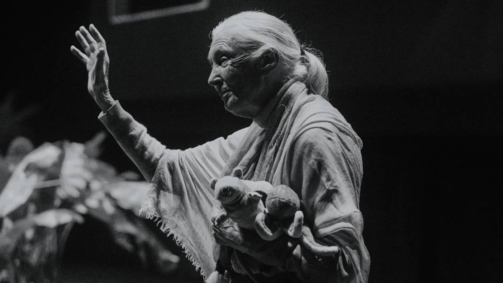 From Dolittle to Tarzan: What iconic primatologist Jane Goodall read as a child