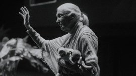 Ethologist and conservationist Jane Goodall remains an inspiration for millions of children.