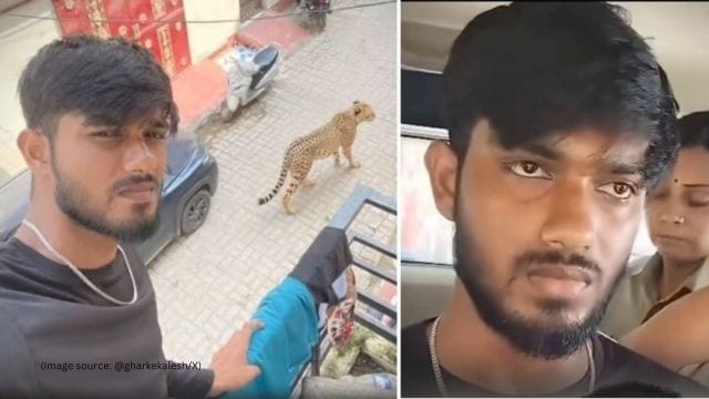 Lucknow Ai leopard viral video