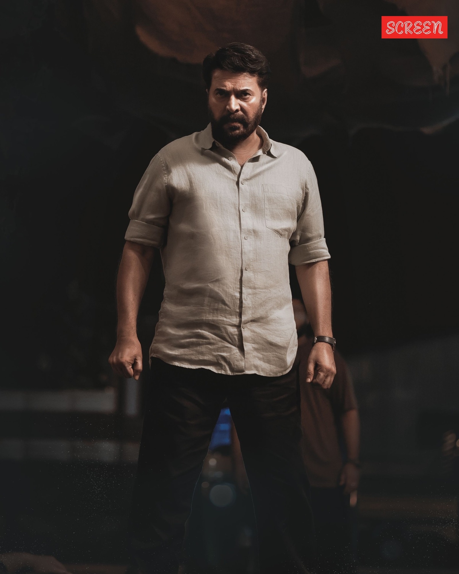 Mammootty played a private detective in Dominic and the Ladies' Purse.