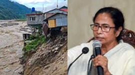 Mamta Banerjee on landslide (File)