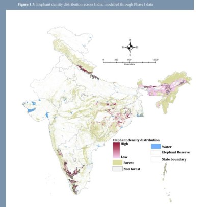 Map of elephant density distribution