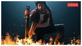 They Call Him OG box office collection day 6