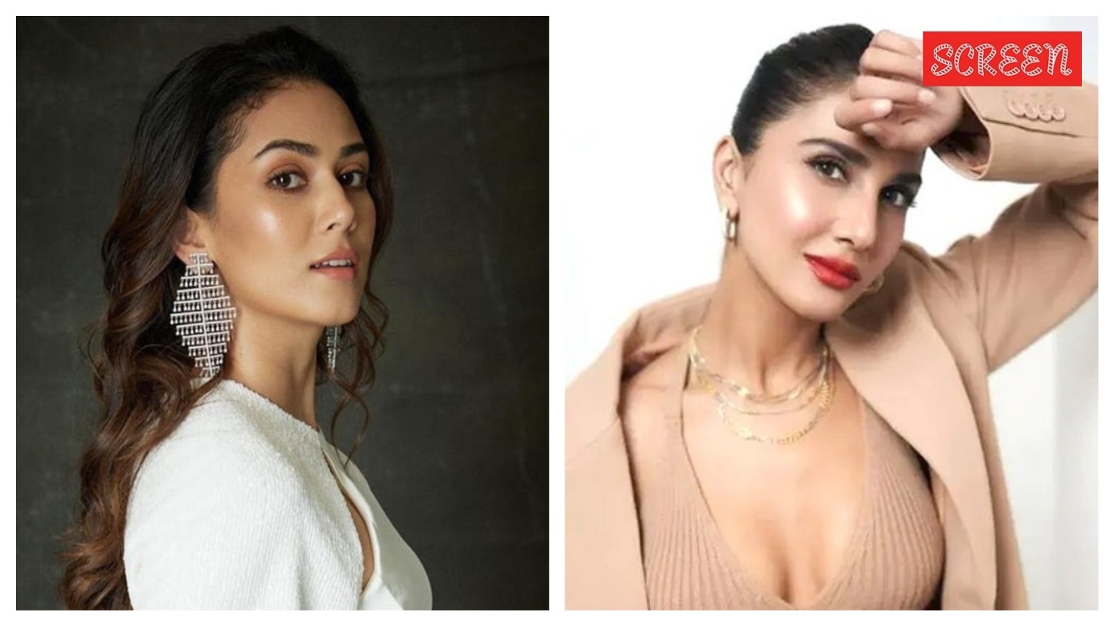 Mira Rajput, Vaani Kapoor alarmed by Delhi’s 447 AQI after Diwali, condemn relentless use of crackers: ‘Not okay to even hold a phuljhadi…’