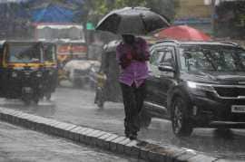 In the neighbouring Palghar district, the IMD has issued a yellow alert on Friday owing to the possibility of rainfall and thunderstorms alongside gusty winds.