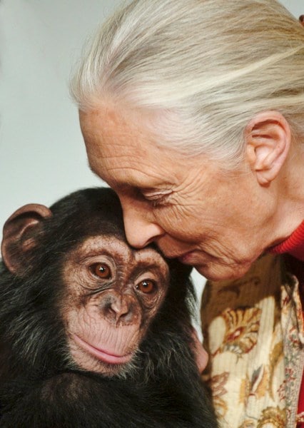 Jane Goodall kisses Pola, a 14-months-old chimpanzee baby from the Budapest Zoo, that she symbolically adopted in Budapest, Hungary, on Dec. 20, 2004. 