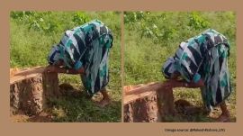 In the viral video, distressed locals can be seen gathering around the fallen trunk as Deola Bai wept inconsolably (Image source: @RakeshKishore_l/X)