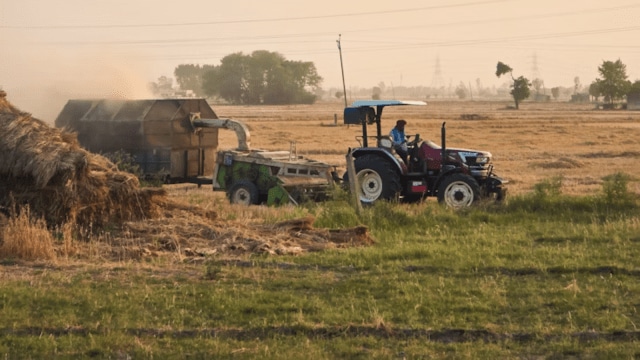 Punjab farming