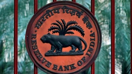 curbs on loans against shares, IPO financing, Reserve Bank of India, rbi, Indian express business, business news, current affairs