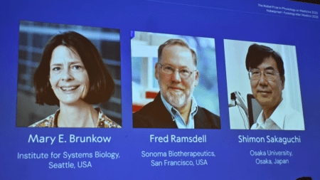 Mary E Brunkow, Fred Ramsdell and Shimon Sakaguchi are awarded this year's Nobel Prize in Medicine or Physiology. The Nobel Assembly at Karolinska Institutet announce the Nobel Prize in Physiology or Medicine on October 6, 2025, in Stockholm, Sweden