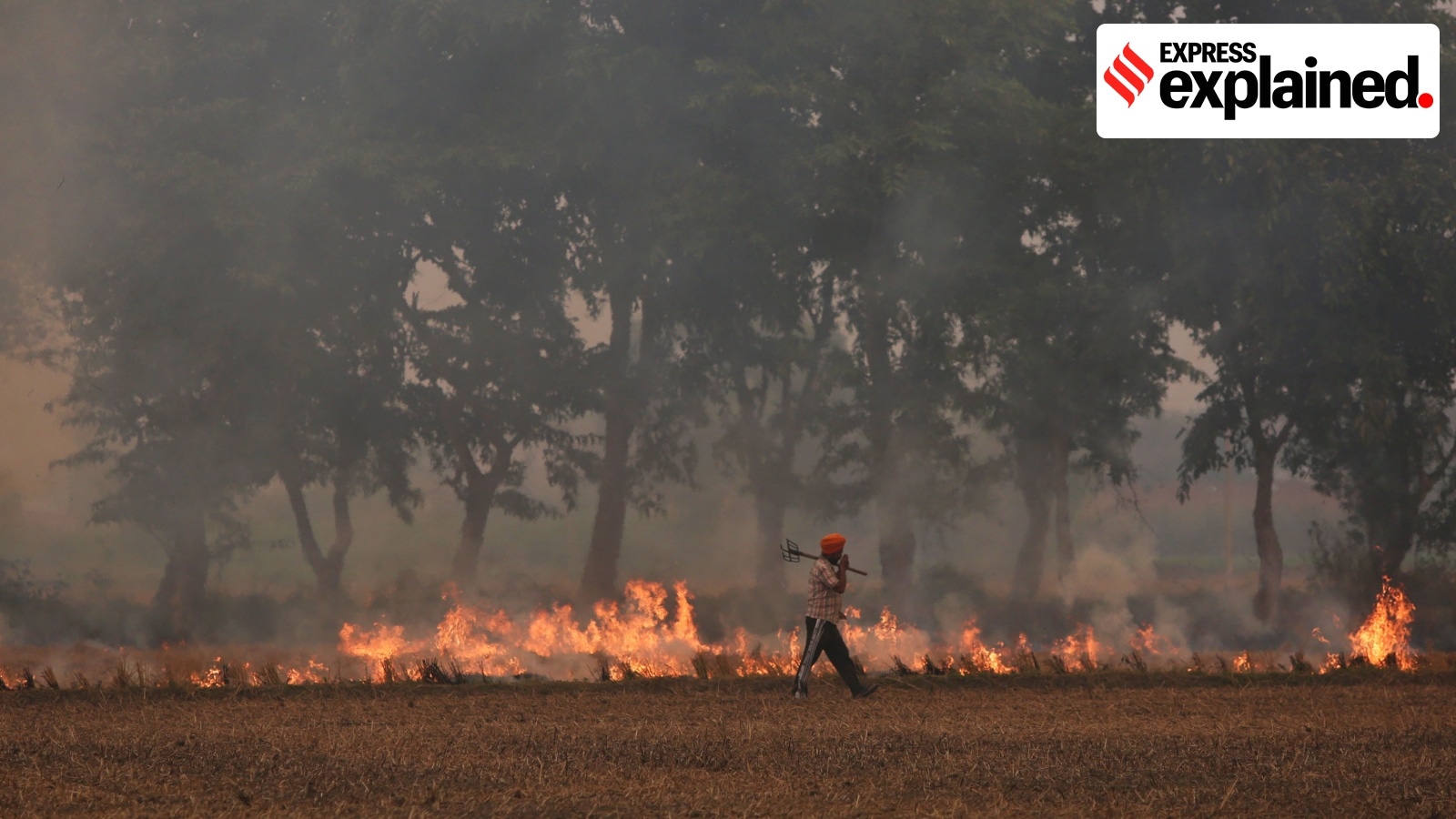 Can Punjab curb stubble burning by focusing on just 6% of its paddy-growing villages?