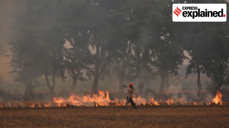 Punjab stubble burning, stubble burning, stubble burning in punjab, Punjab air pollution, air pollution, smog, Curbing farm fires, farm fires, Indian express news, current affairs