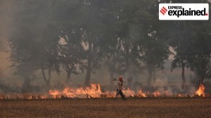 Can Punjab curb stubble burning by focusing on just 6% of its paddy-growing villages?